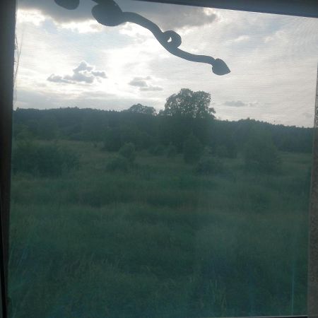 Ostoja Appartement Białowieża Buitenkant foto