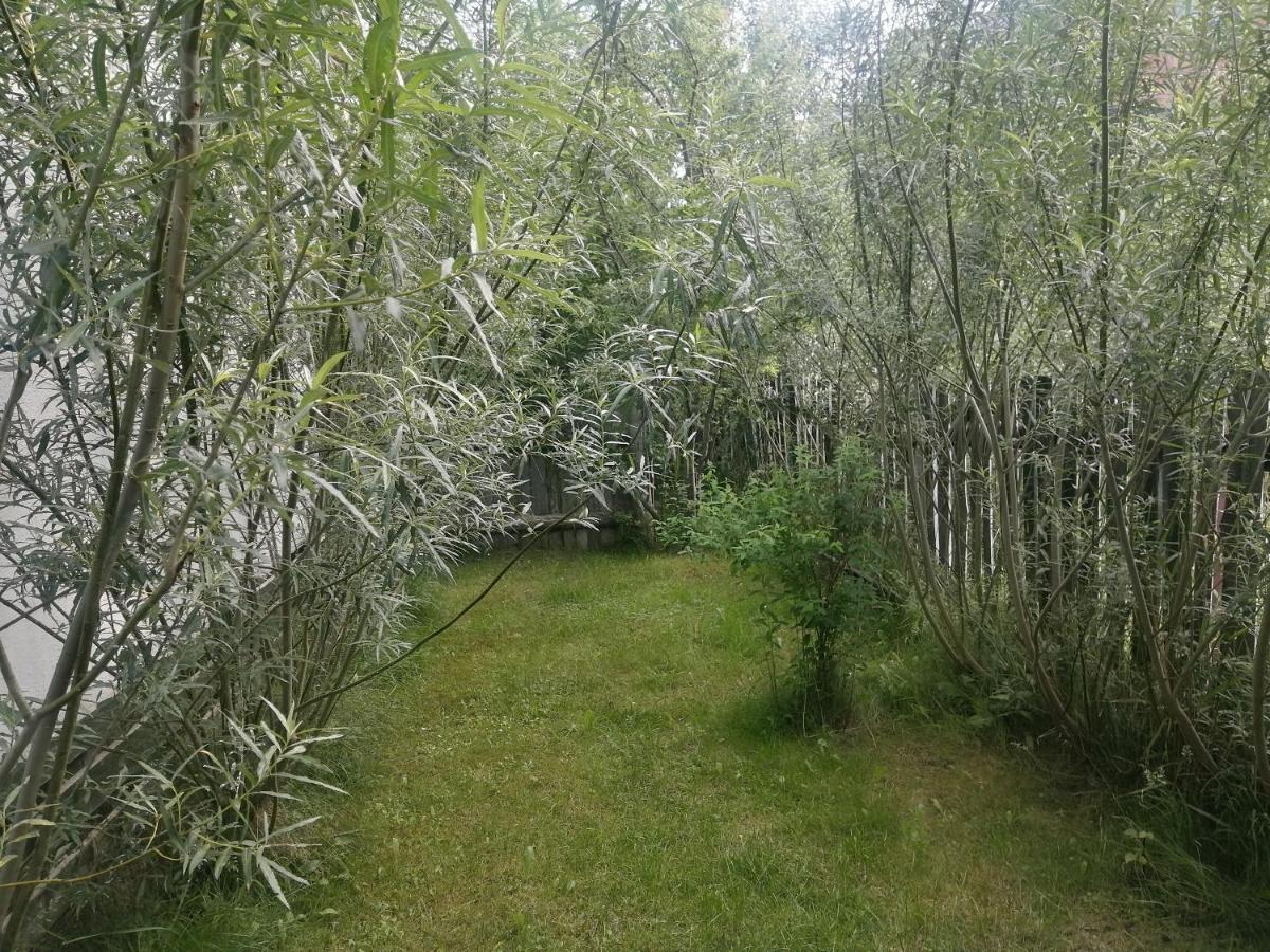 Ostoja Appartement Białowieża Buitenkant foto