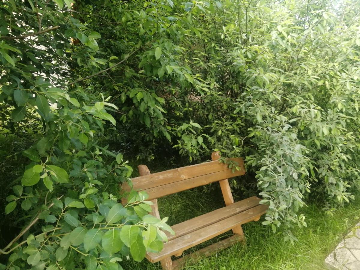 Ostoja Appartement Białowieża Buitenkant foto