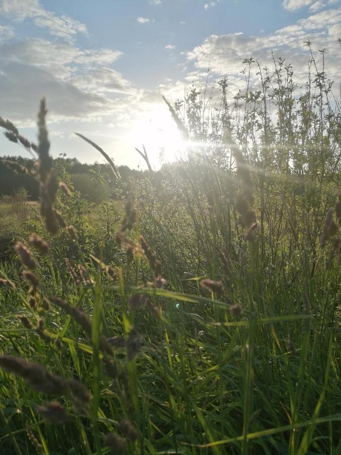 Ostoja Appartement Białowieża Buitenkant foto