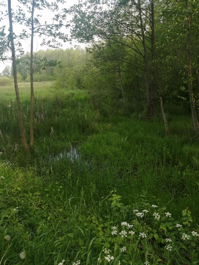 Ostoja Appartement Białowieża Buitenkant foto