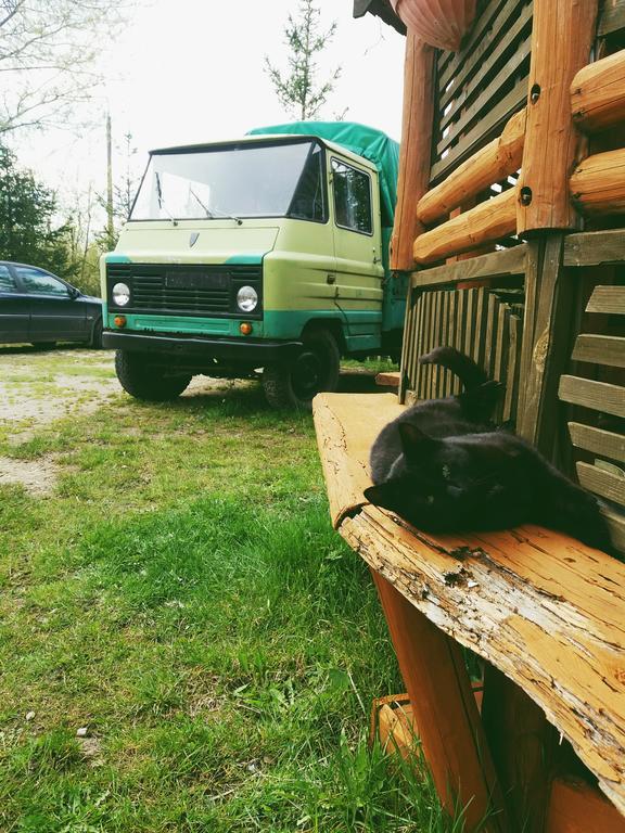 Ostoja Appartement Białowieża Buitenkant foto